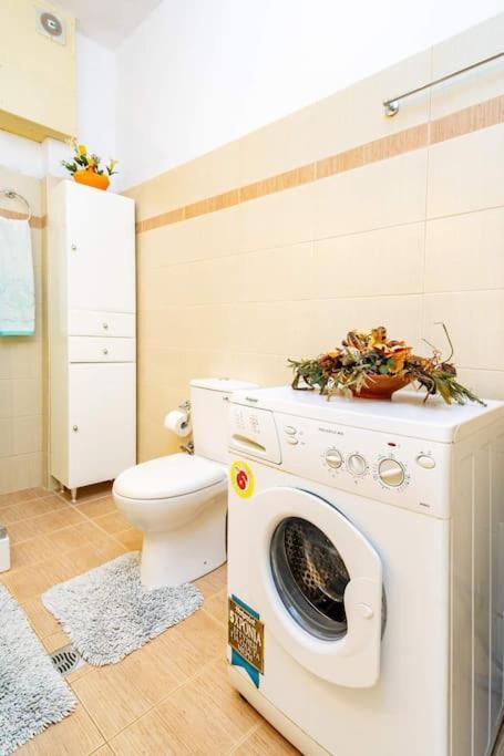 Rosa 'S House Apartment Palekastro Ngoại thất bức ảnh
